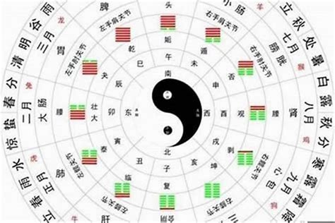 秦始皇八字|秦始皇八字什么格局 秦始皇八字解析